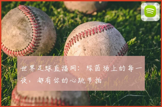 世界足球直播网:绿茵场上的每一夜,都有你的心跳节拍